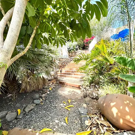 Espectacular Con Piscina Infinity, Bbq Y Wifi En San Miguel De Abona, Tenerife Sur