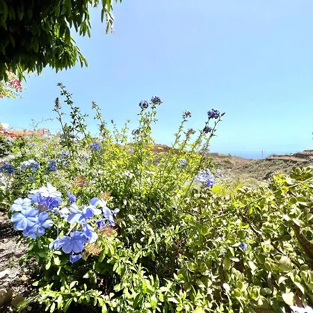 Villa Espectacular Con Piscina Infinity, Bbq Y Wifi En San Miguel De Abona, Tenerife Sur San Miguel de Abona